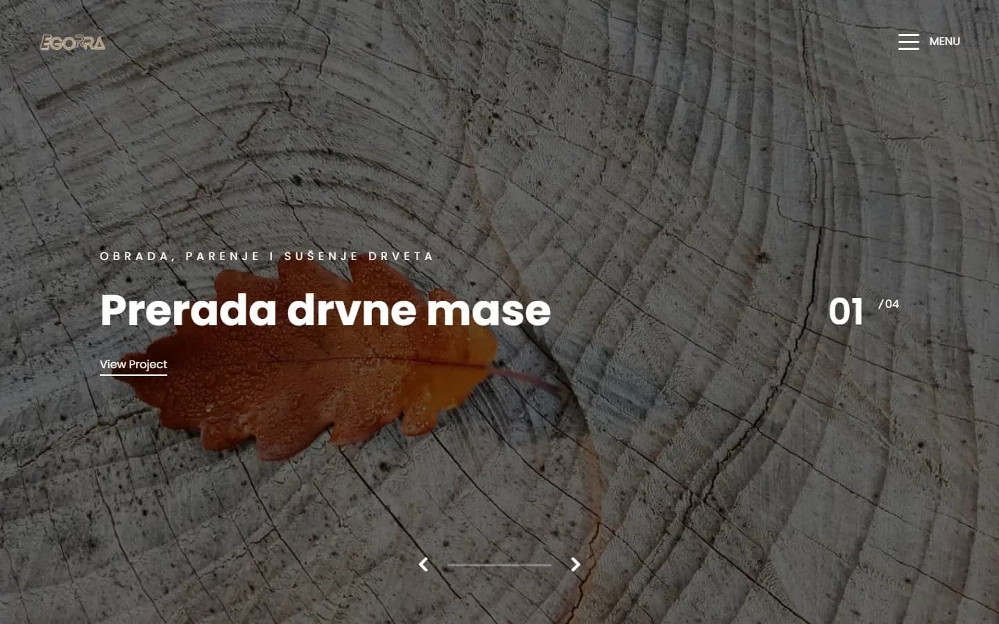 EGORRA d.o.o.: web stranica (desktop)