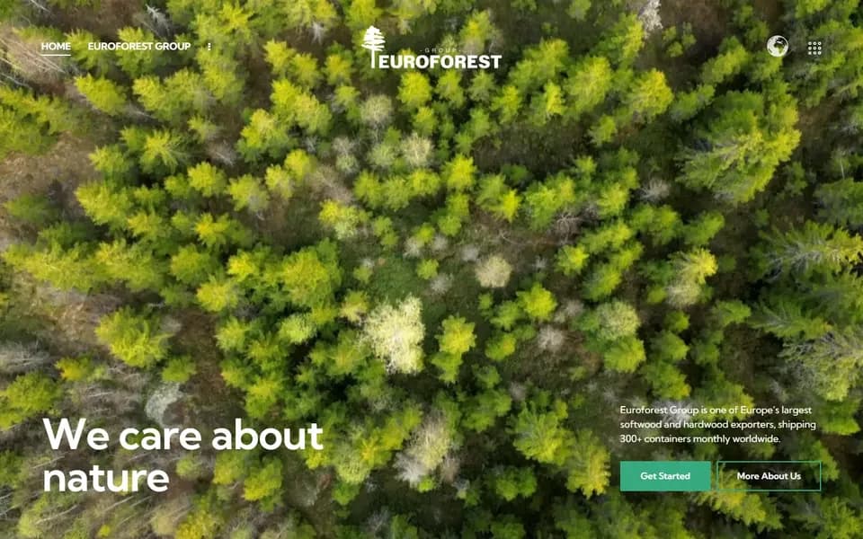 Euroforest Group: web stranica (desktop)