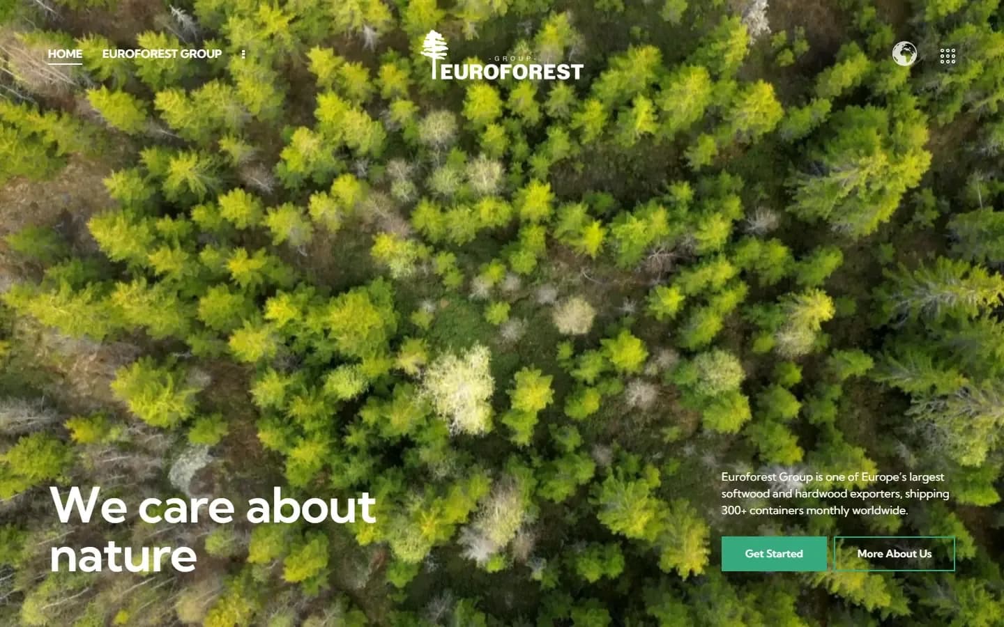 Euroforest Group: web stranica (desktop)