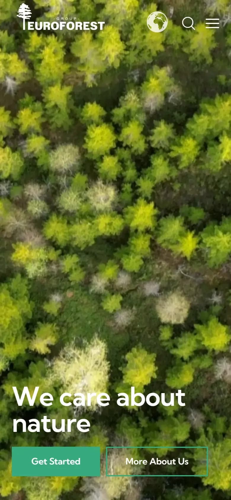 Euroforest Group: web stranica (mobitel)